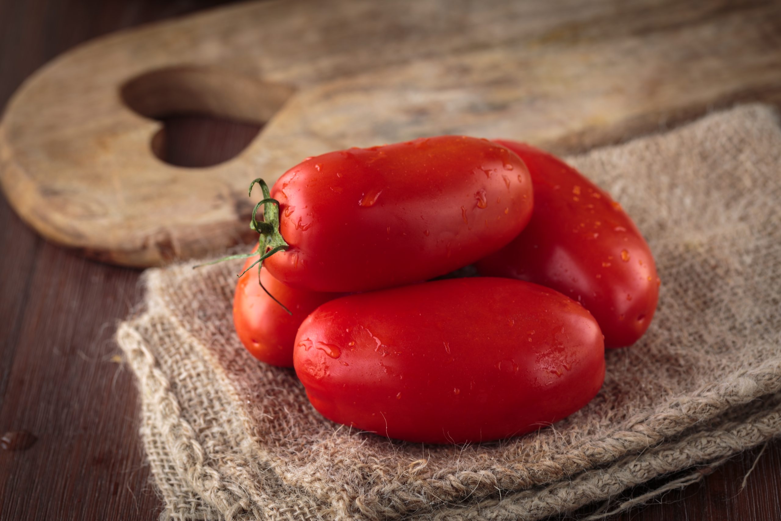 Tomate pomodoro san marzano