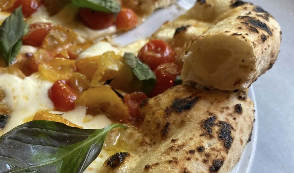 santopizzaiolo masa pizza napolitana